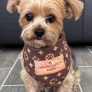 High Fashion Brown Dog Bandana Scarf